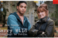 Harry Wild - Staffel 2